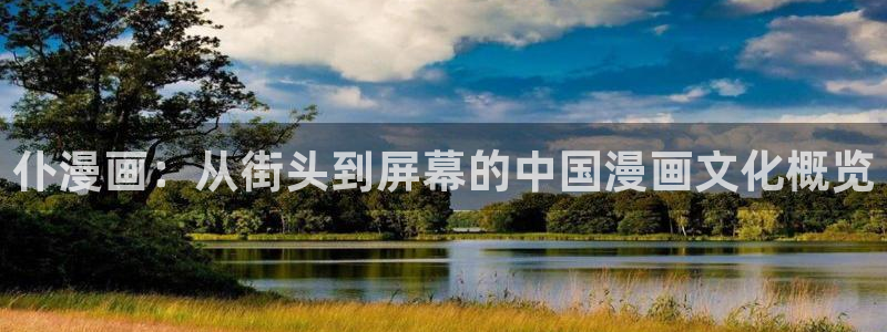 樱花风车漫画网专注动漫：仆漫画：从街头到屏幕的中国漫画文化概览