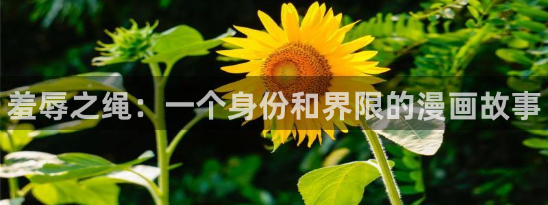 风车漫画 软件下载：羞辱之绳：一个身份和界限的漫画故事