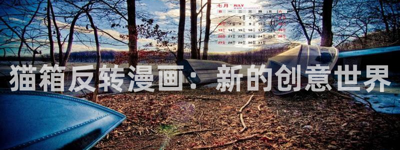 风车漫画大全：猫箱反转漫画：新的创意世界